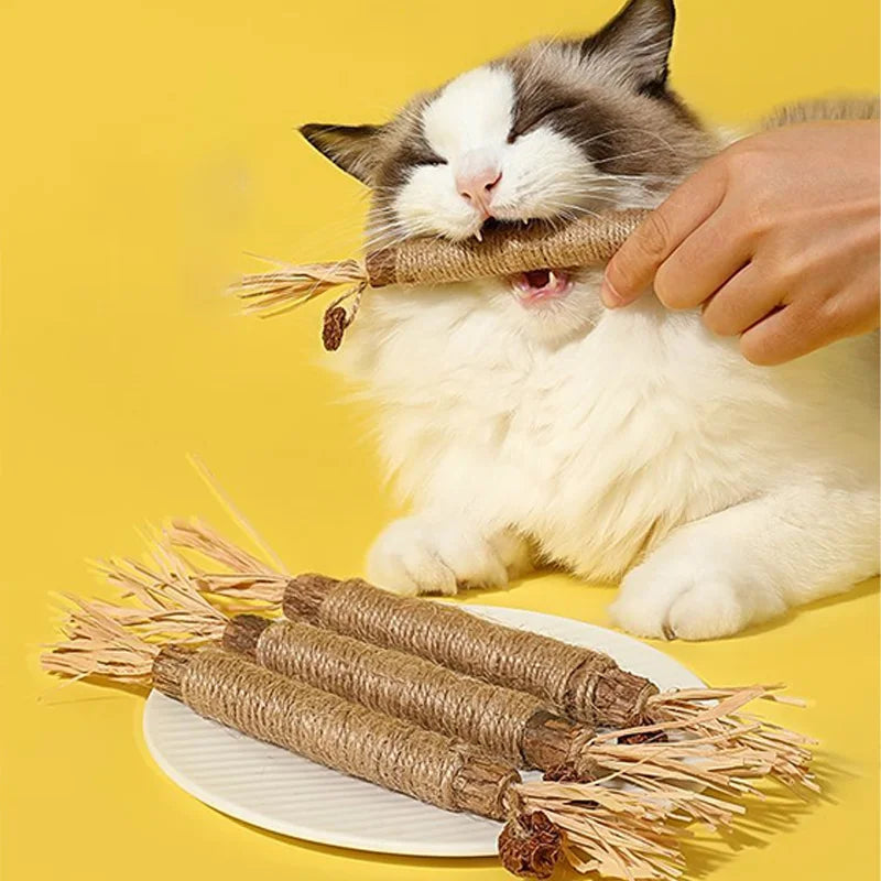 Cat Toys Silvervine Chew Stick Polygonum Kitty Raffia Grass