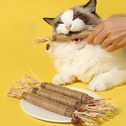 Cat Toys Silvervine Chew Stick Polygonum Kitty Raffia Grass