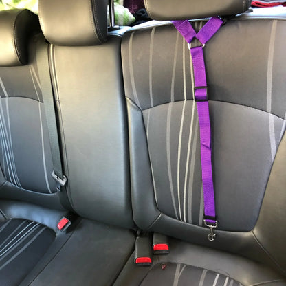 Pet Car Seat Belt Nylon Leash