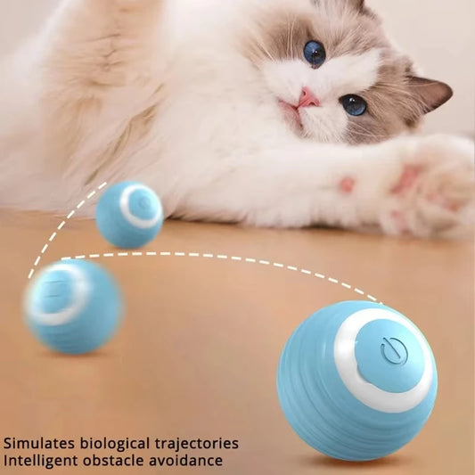 Cat Interactive Ball Training Self-Moving Kitten