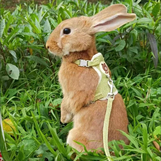 Rabbit Harness and Leash Vest