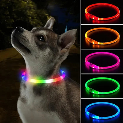 Dog Collar Usb Led Light