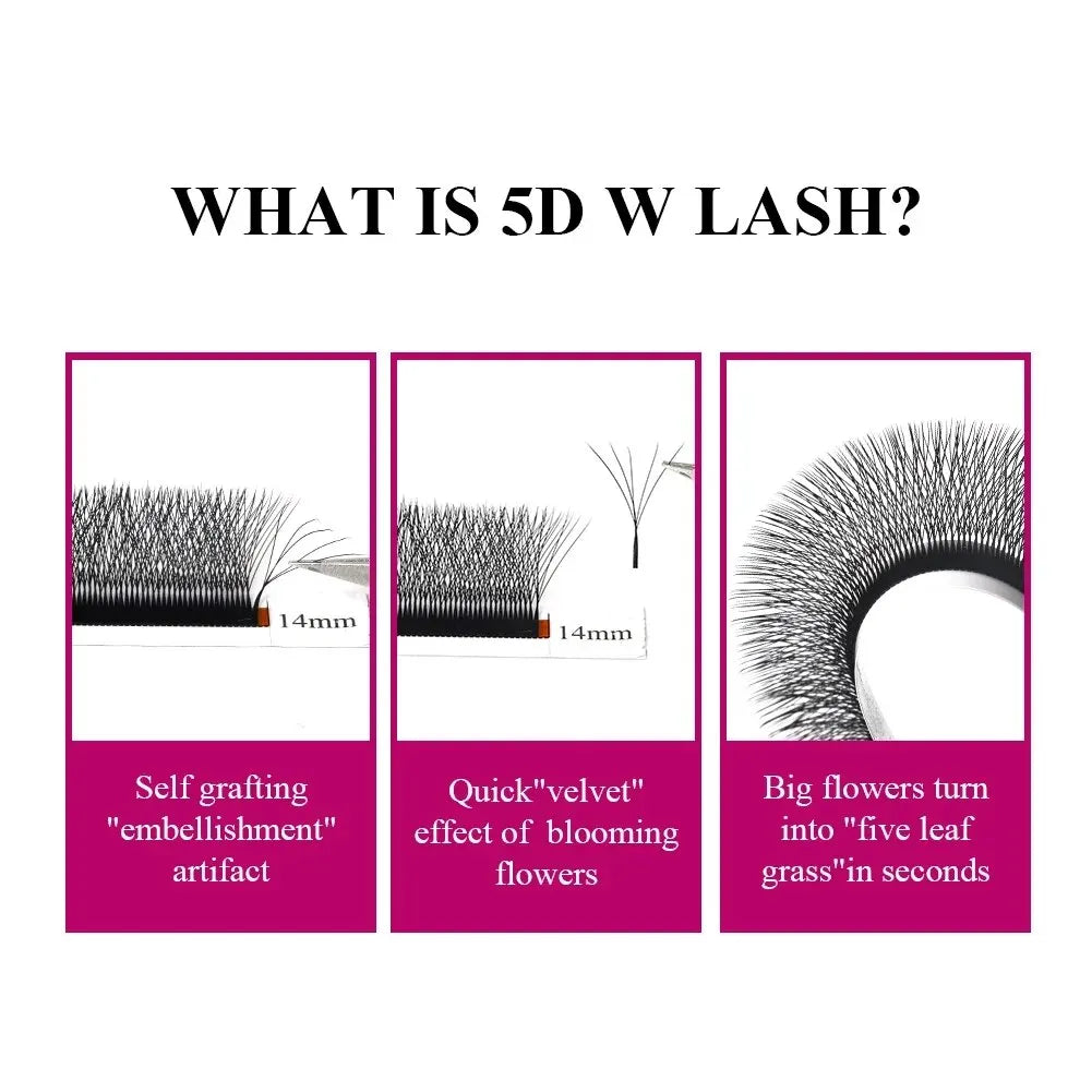 5D W Shaped Eyelash Extensions