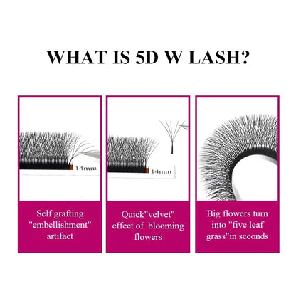 5D W Shaped Eyelash Extensions