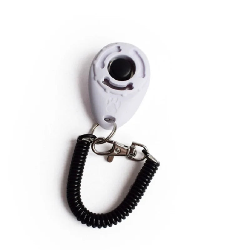 Dog Training Clicker Sound Key Chain