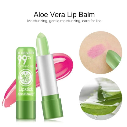 Lipstick Aloe Vera Set 12pcs