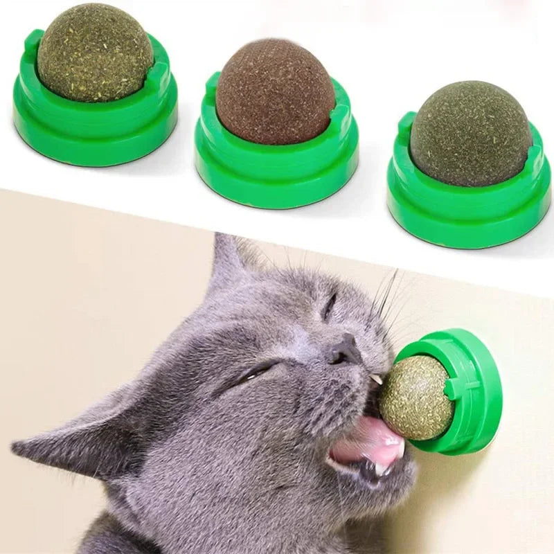 Natural Cat Wall Stick-on Ball Toy