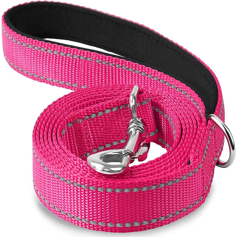 Harness Collar Lead Strap Night Reflection