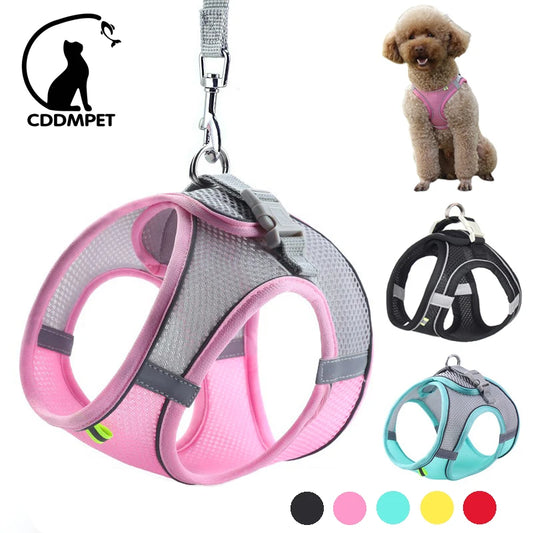 Dog Harness Leash Set for Small Dogs Adjustable