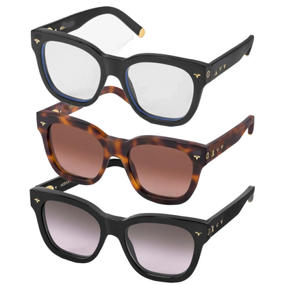 LIV Square Sunglasses